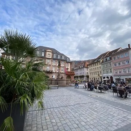 アパート Boardinghouse Goethehaus ハイデルベルク