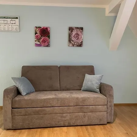 Boardinghouse Goethehaus アパート *