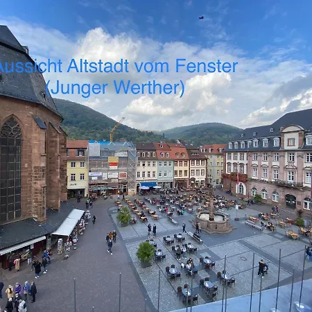 アパート Boardinghouse Goethehaus ハイデルベルク